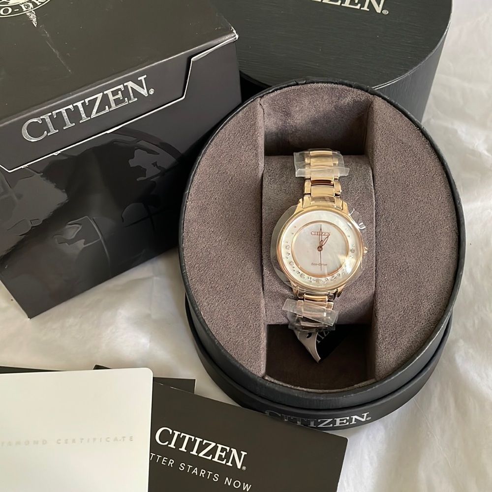 Citizen Eco-Drive Women's EM0382-86D Circle of Time Rose Gold ( Gold tone) Watch